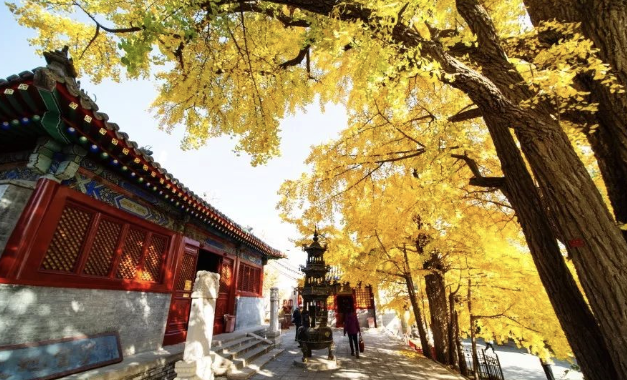 快速提升自身能量场的3个好处