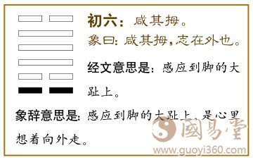 初六：咸其拇。爻辞释义