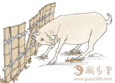 上六：羝羊触藩，不能退，不能遂，无攸利；艰则吉