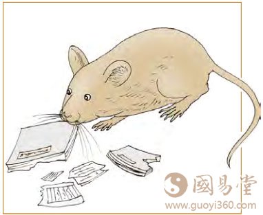 九四：晋如鼫鼠，贞厉。