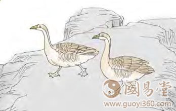九三：鸿渐于陆，夫征不复，妇孕不育，凶；利御宼。