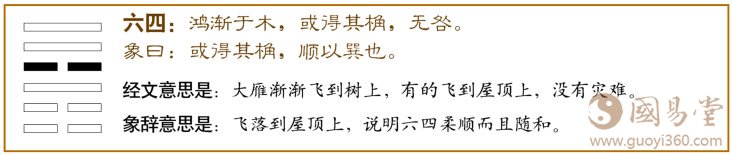渐卦第四爻，爻辞：六四：鸿渐于木，或得其桷，无咎。
