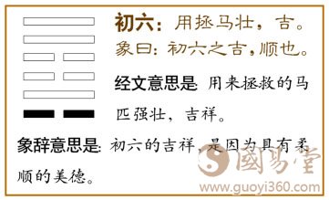 涣卦第一爻，爻辞：初六：用拯马壮，吉。